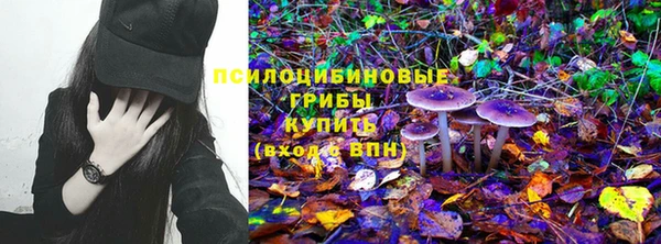 мяу мяу мука Белоозёрский