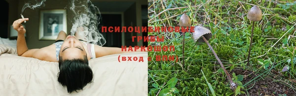 мяу мяу мука Белоозёрский